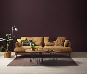 Bredhult sofa - Jump Honey 1959-black steel, 3-seater - 1898