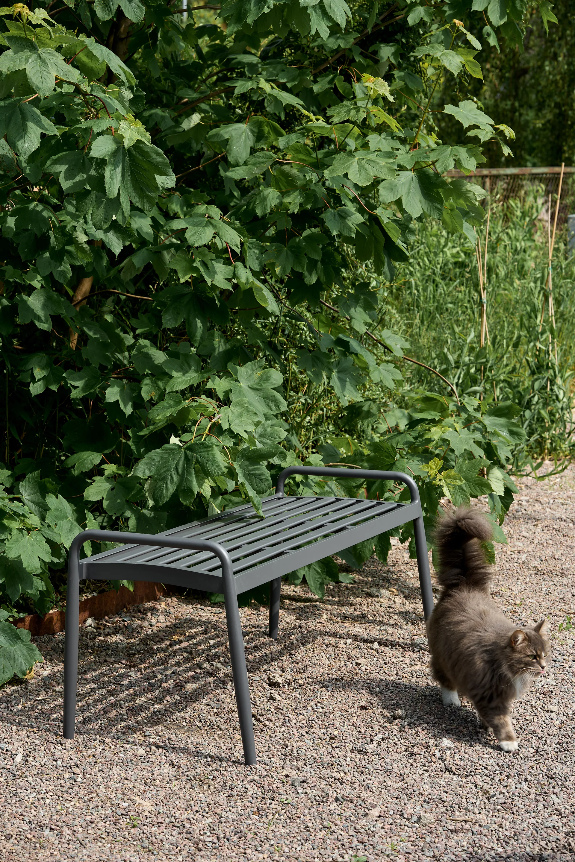 Messina bench 51x124 cm, Anthracite 1898