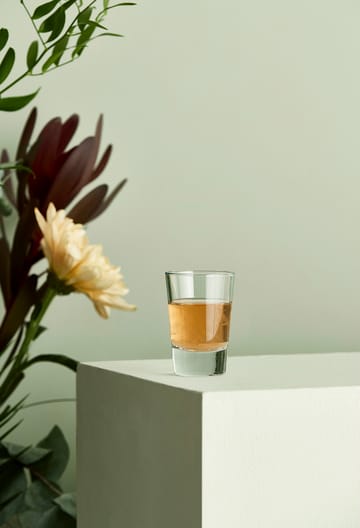 Café shot glass 6.2 cl - Clear - Aida