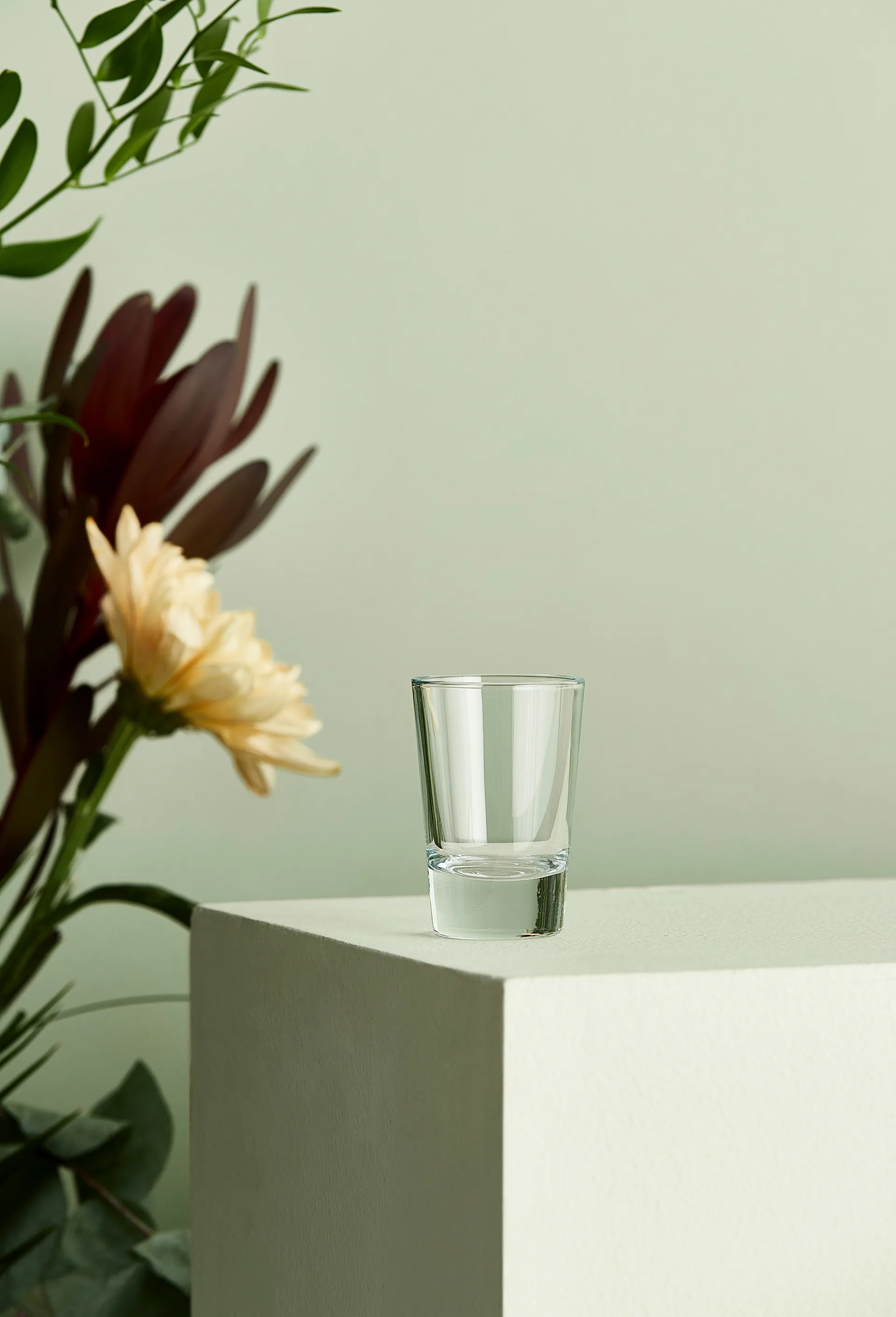Café shot glass 6.2 cl, Clear Aida