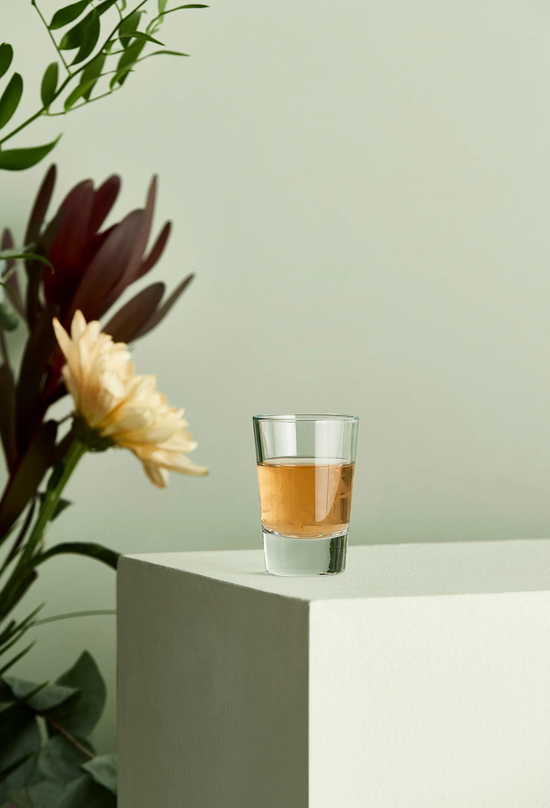 Café shot glass 6.2 cl, Clear Aida