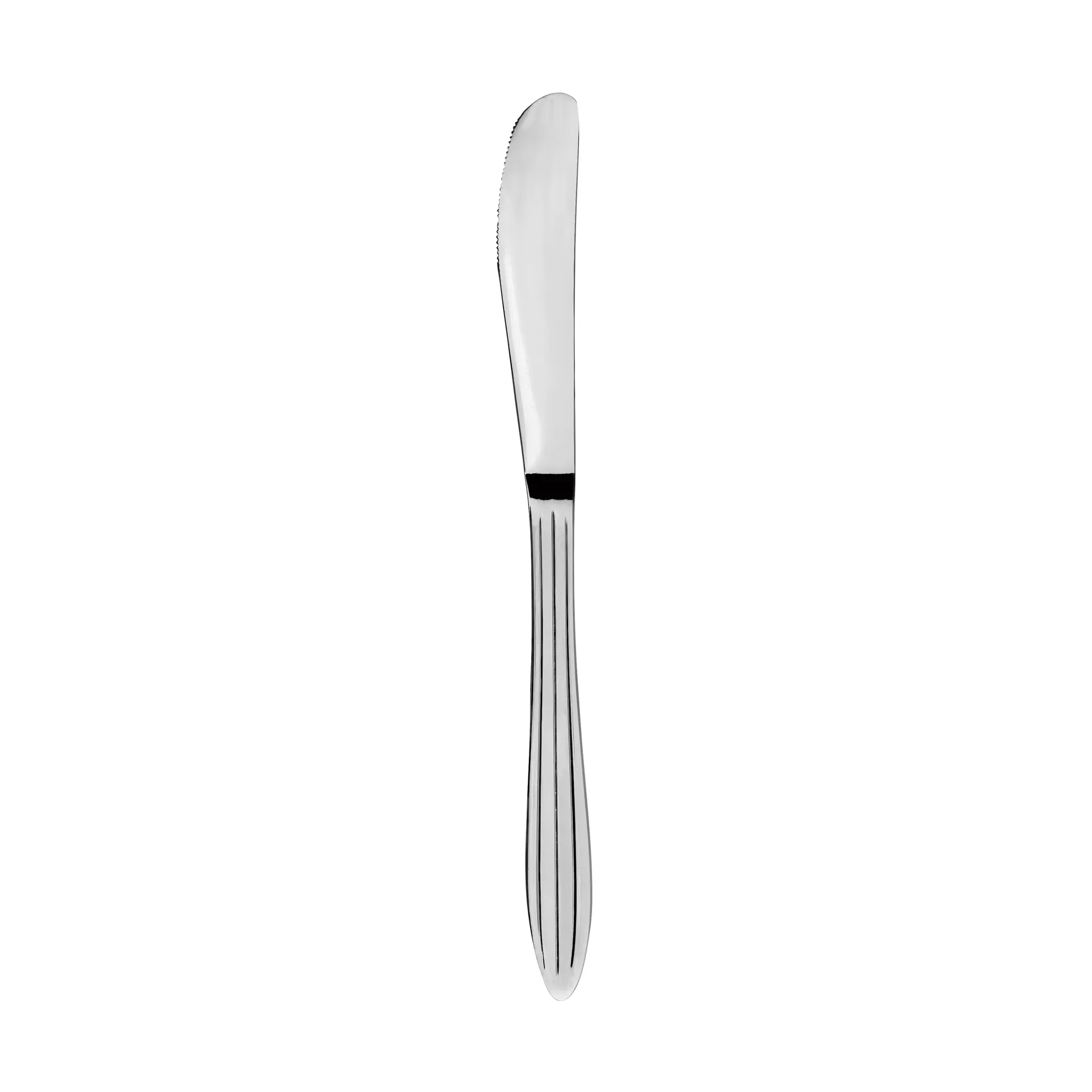 Gastro knife, Stainless steel Aida