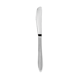 Aida Gastro knife Stainless steel