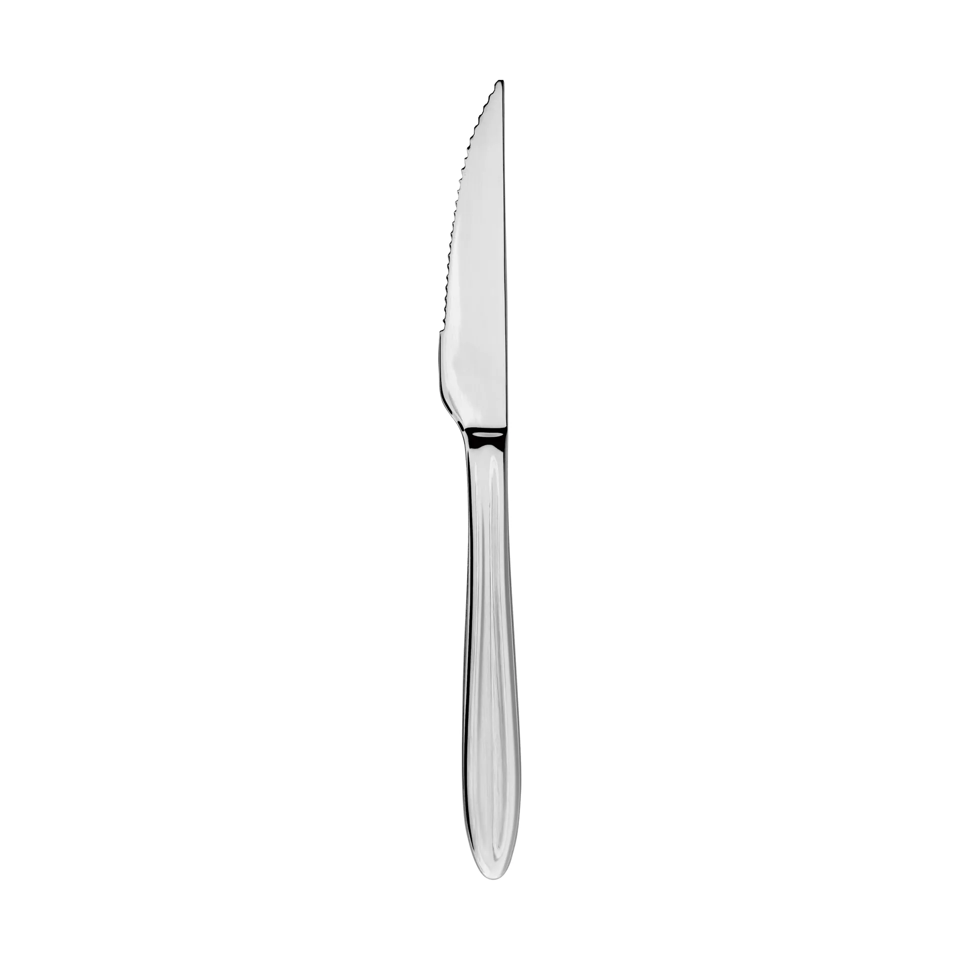 Gastro steak knife, Stainless steel Aida
