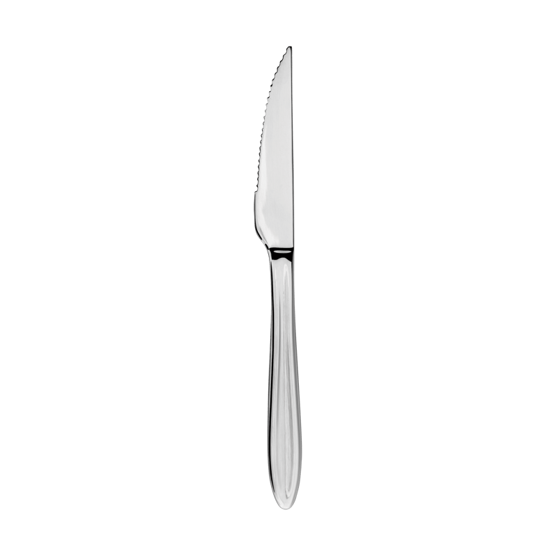 Aida Gastro steak knife Stainless steel