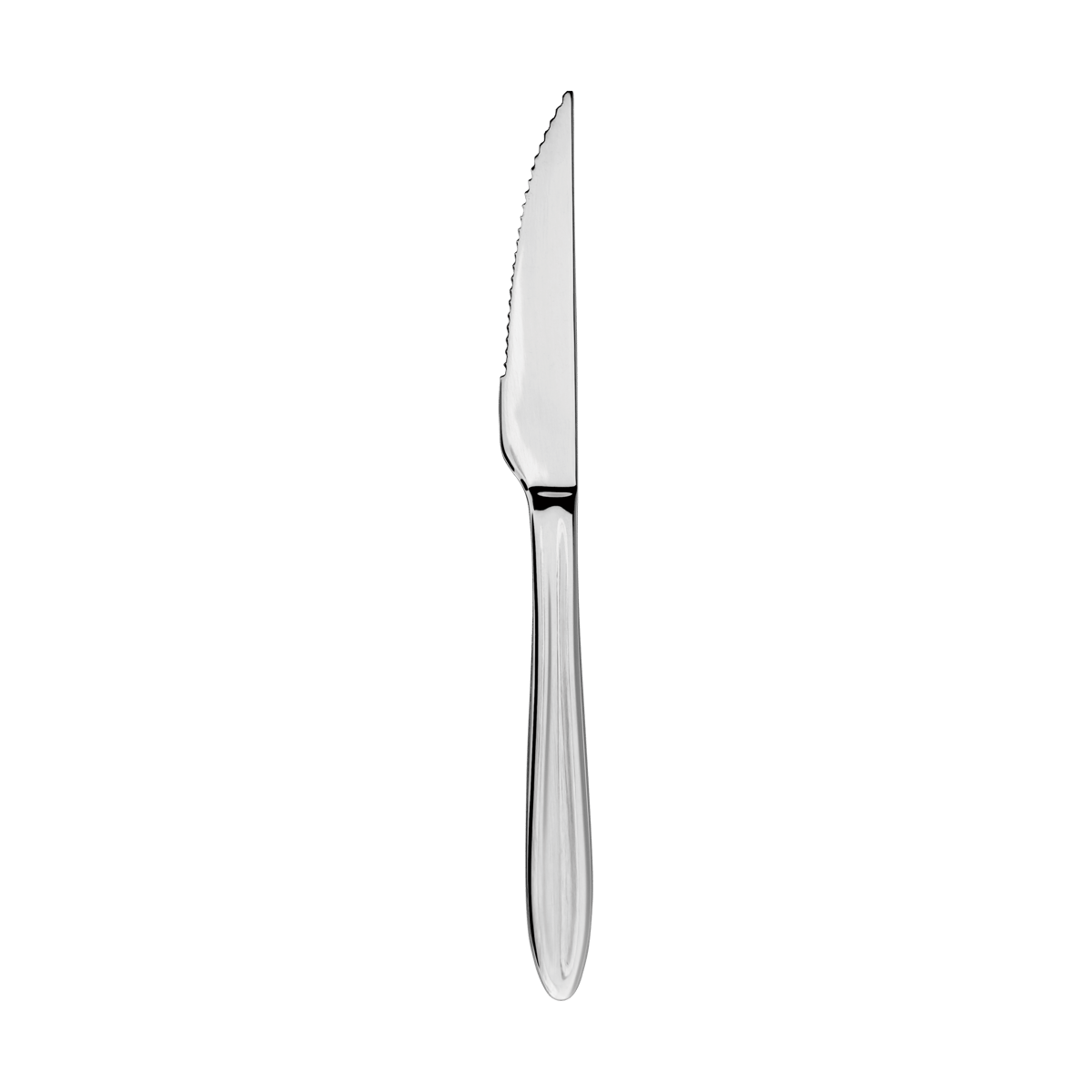 Aida Gastro steak knife Stainless steel