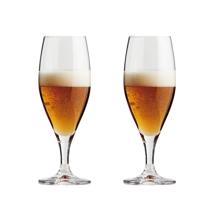 Passion connoisseur beer glass 40 cl 2-pack - Clear - Aida