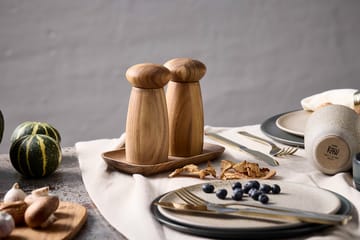 Raw tray 10x17 cm - Teak - Aida