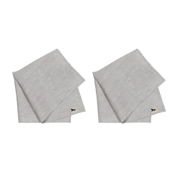 Linne napkin 45x45 cm 2-pack - Natural - Almedahls