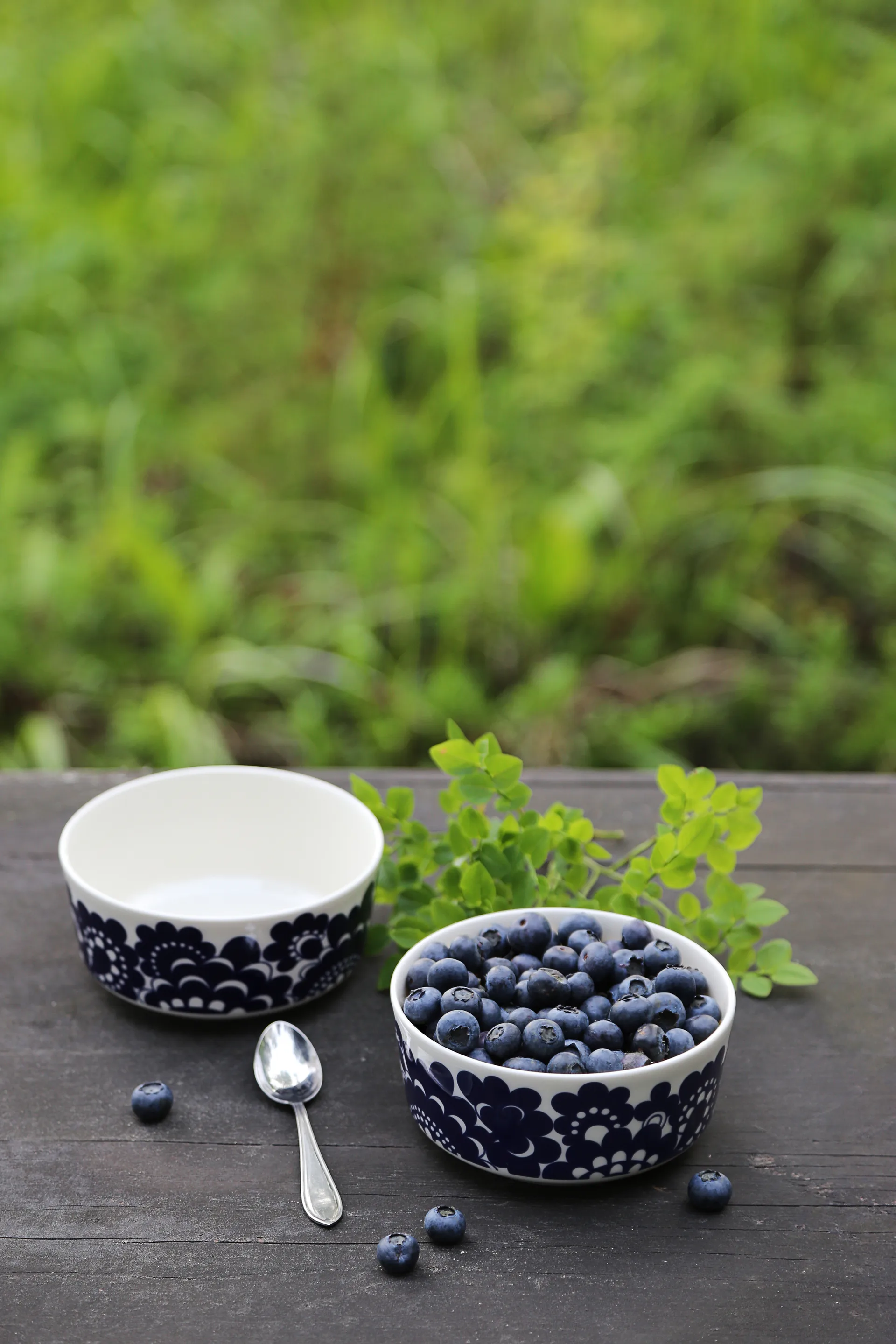 Esteri mug 30 cl and bowl Ø13 cm, Blue Arabia