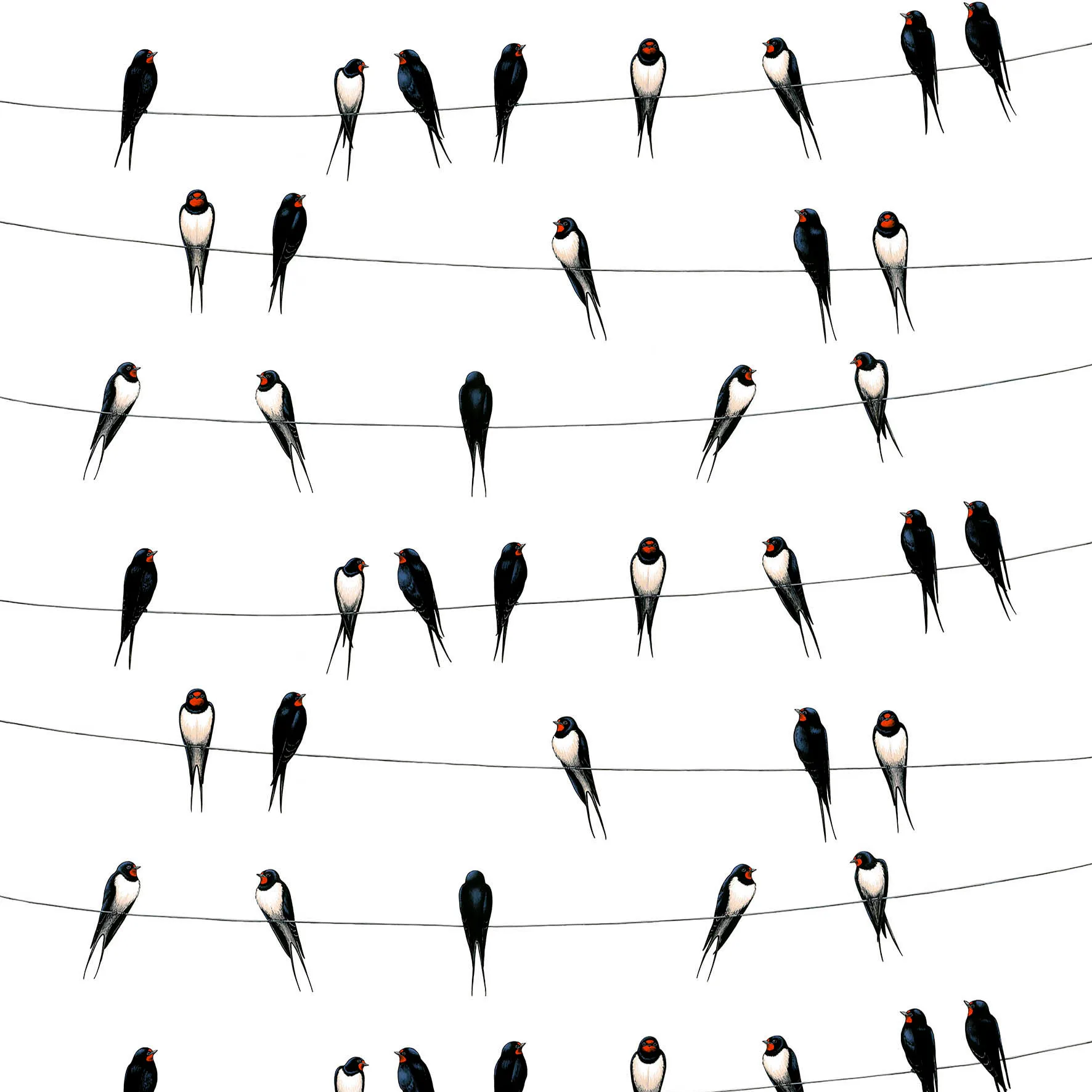 Ladusvalor fabric, white Arvidssons Textil