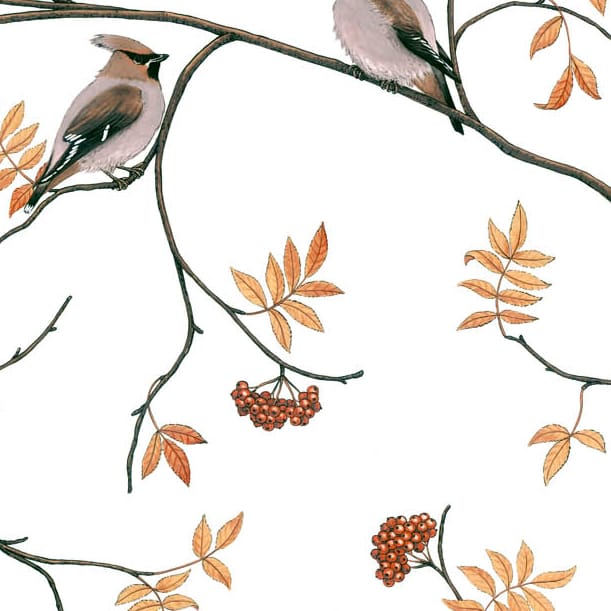 Sidensvansar fabric, white-beige Arvidssons Textil