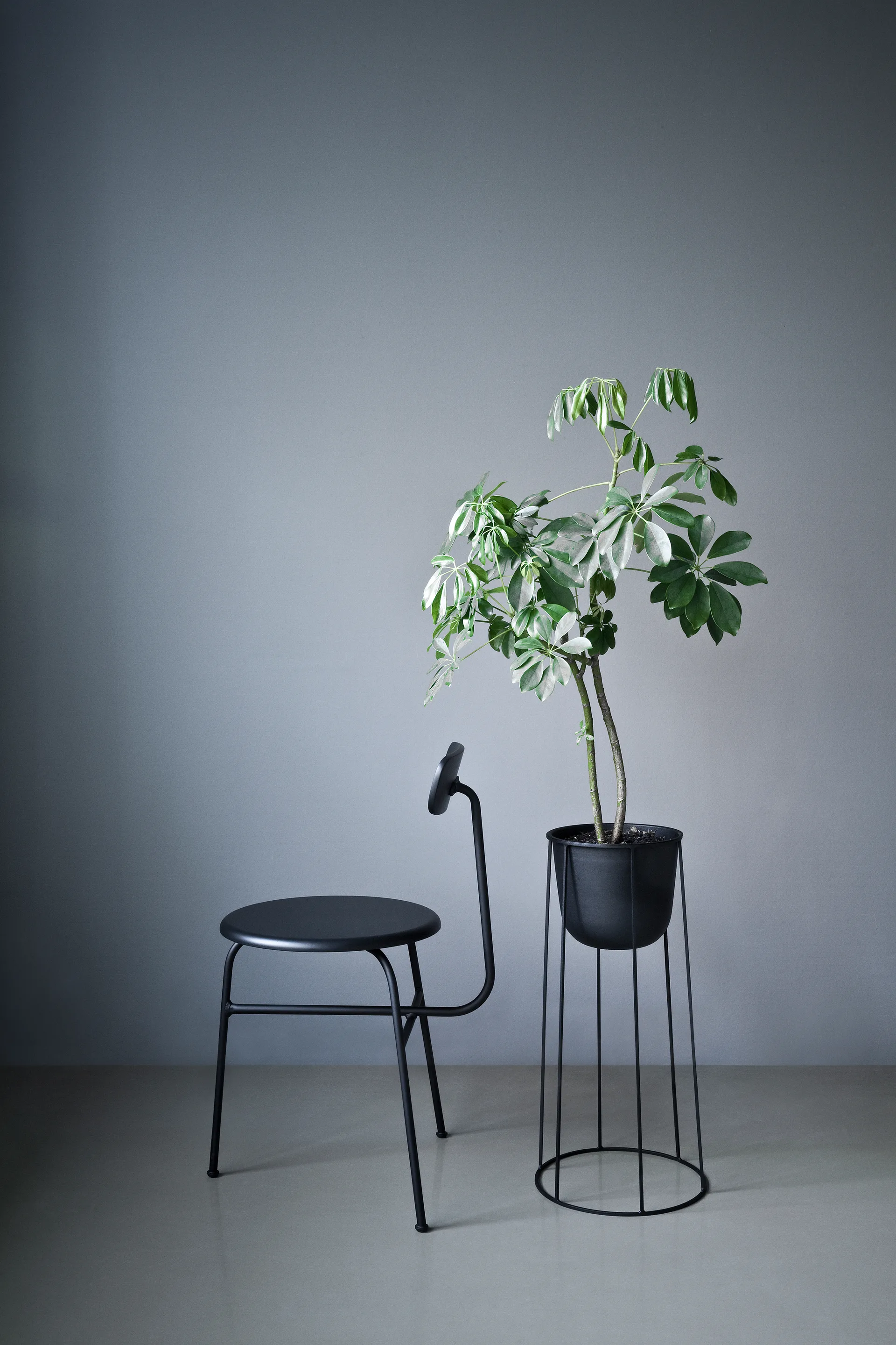 Afteroom chair leather seat 4 legs, Black-black Audo Copenhagen