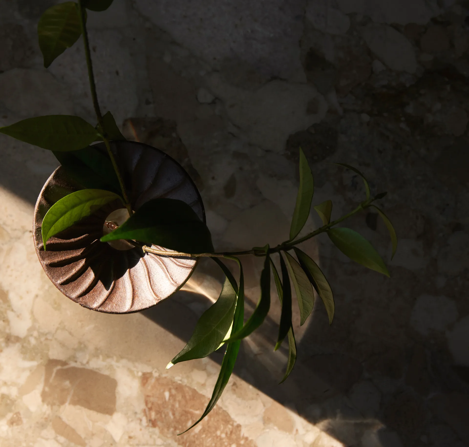 Cresco Propagation vase 2 pieces, Brown-clear Audo Copenhagen