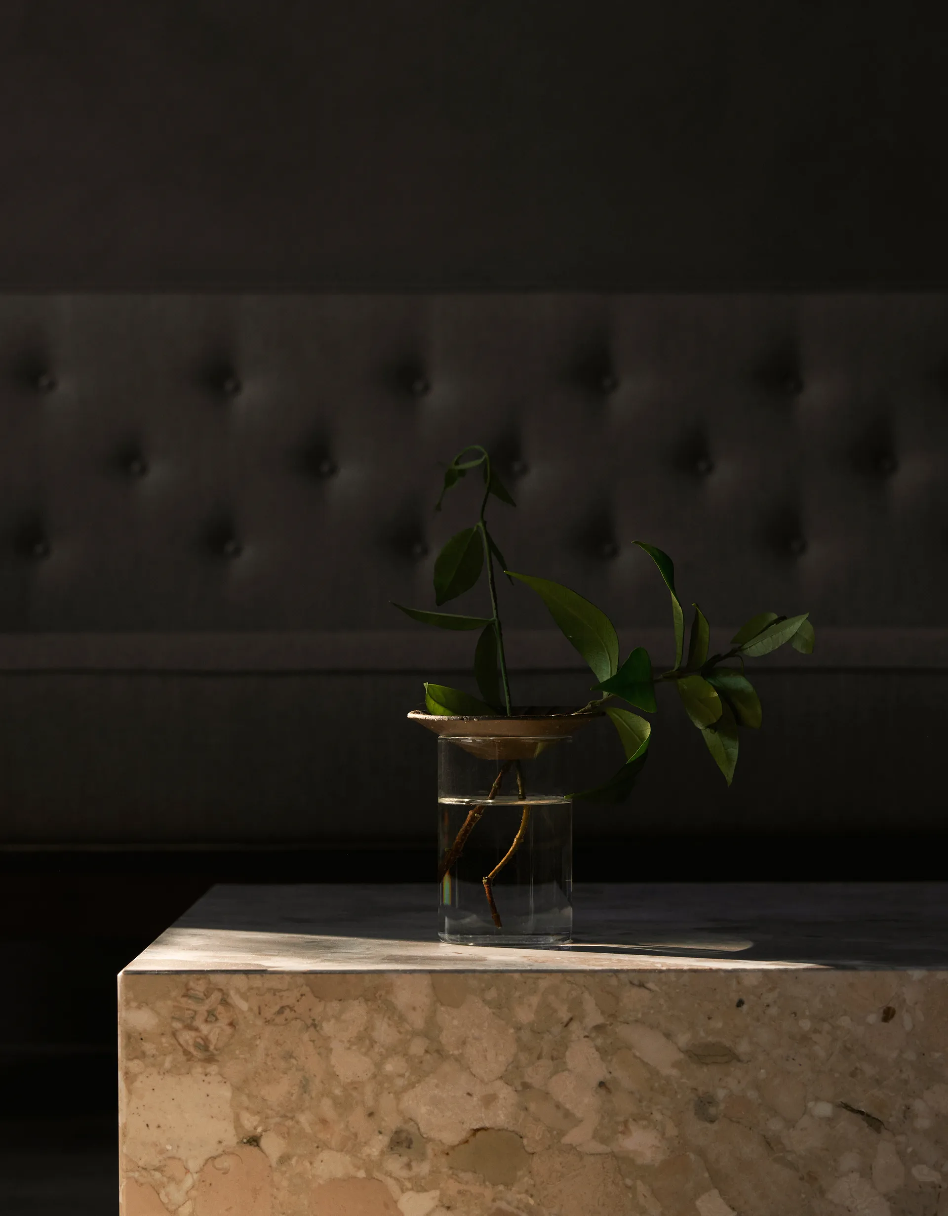 Cresco Propagation vase 2 pieces, Brown-clear Audo Copenhagen