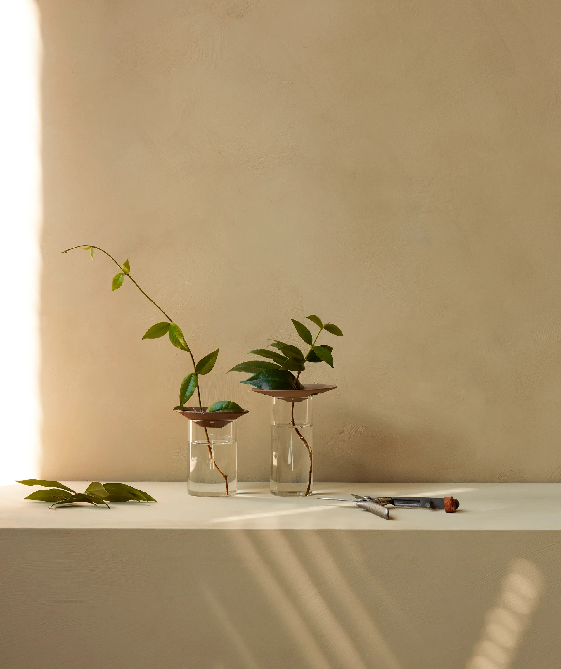 Cresco Propagation vase 2 pieces, Brown-clear Audo Copenhagen