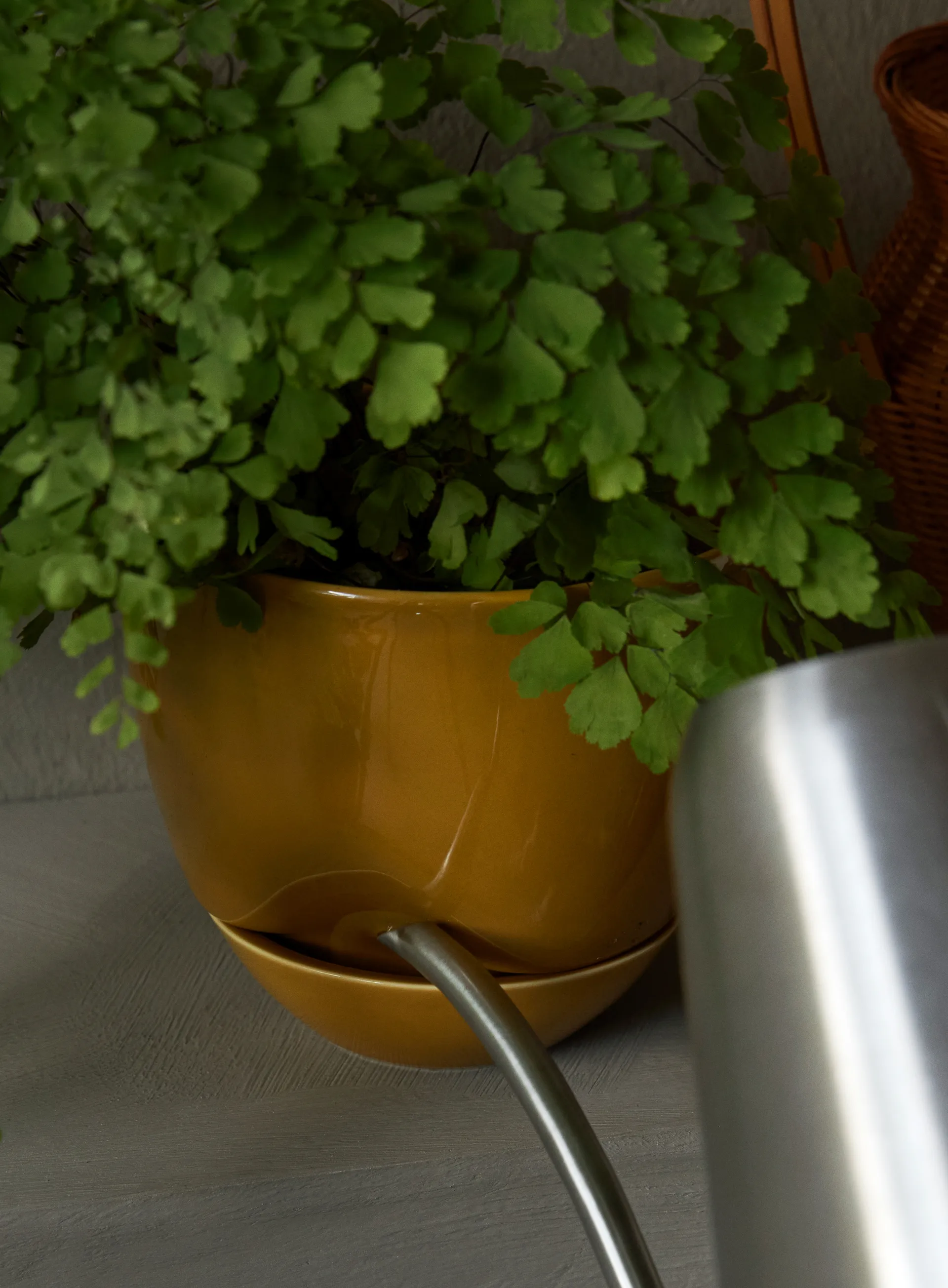 Hydrous flower pot Ø12 cm, Ochre Audo Copenhagen