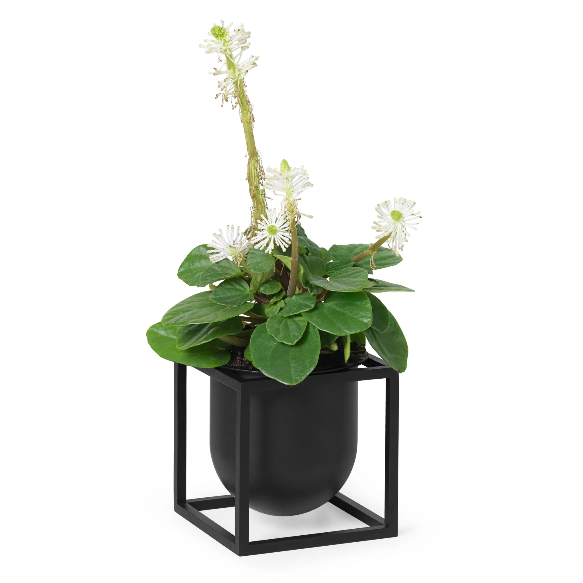 Kubus flower pot 10 cm, Black Audo Copenhagen