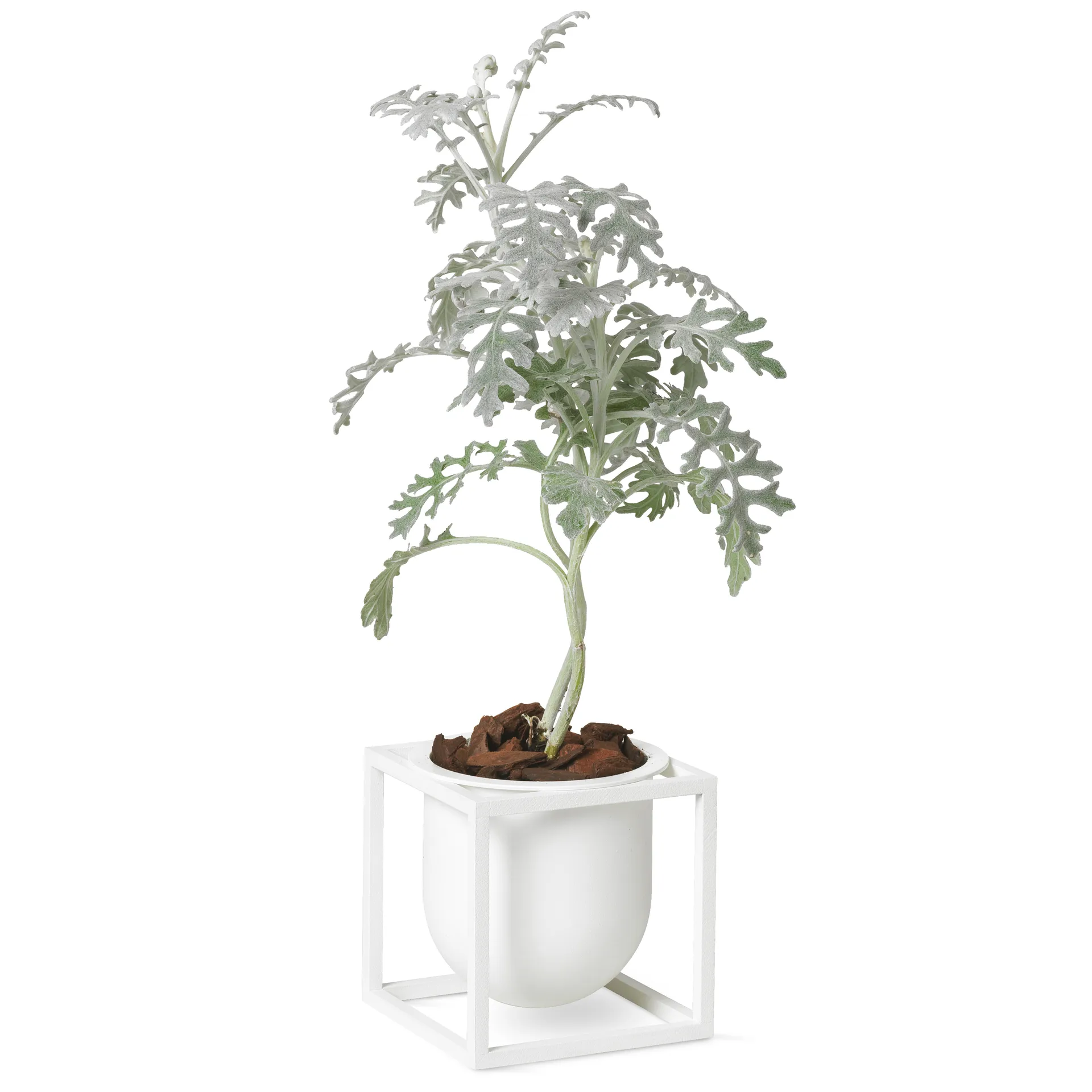 Kubus flower pot 10 cm, White Audo Copenhagen