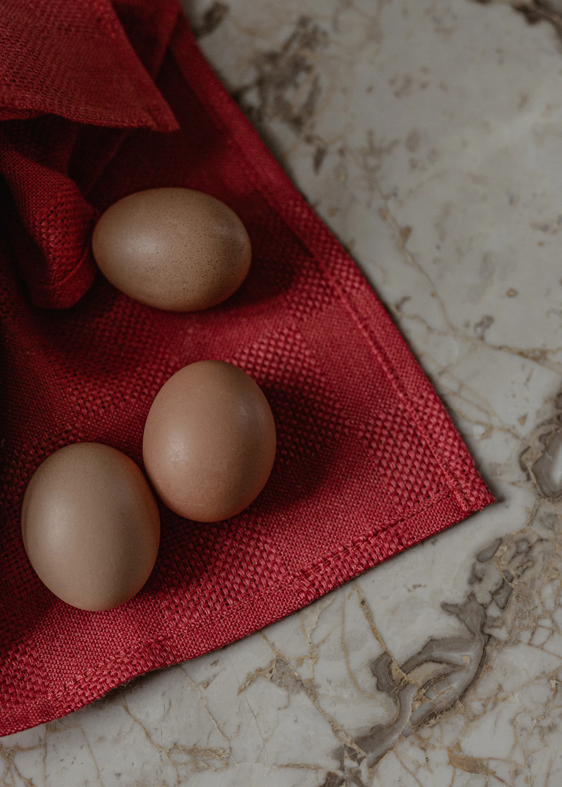 Papilio kitchen towel 40x64 cm 2-pack, Burnt sienna-white Audo Copenhagen