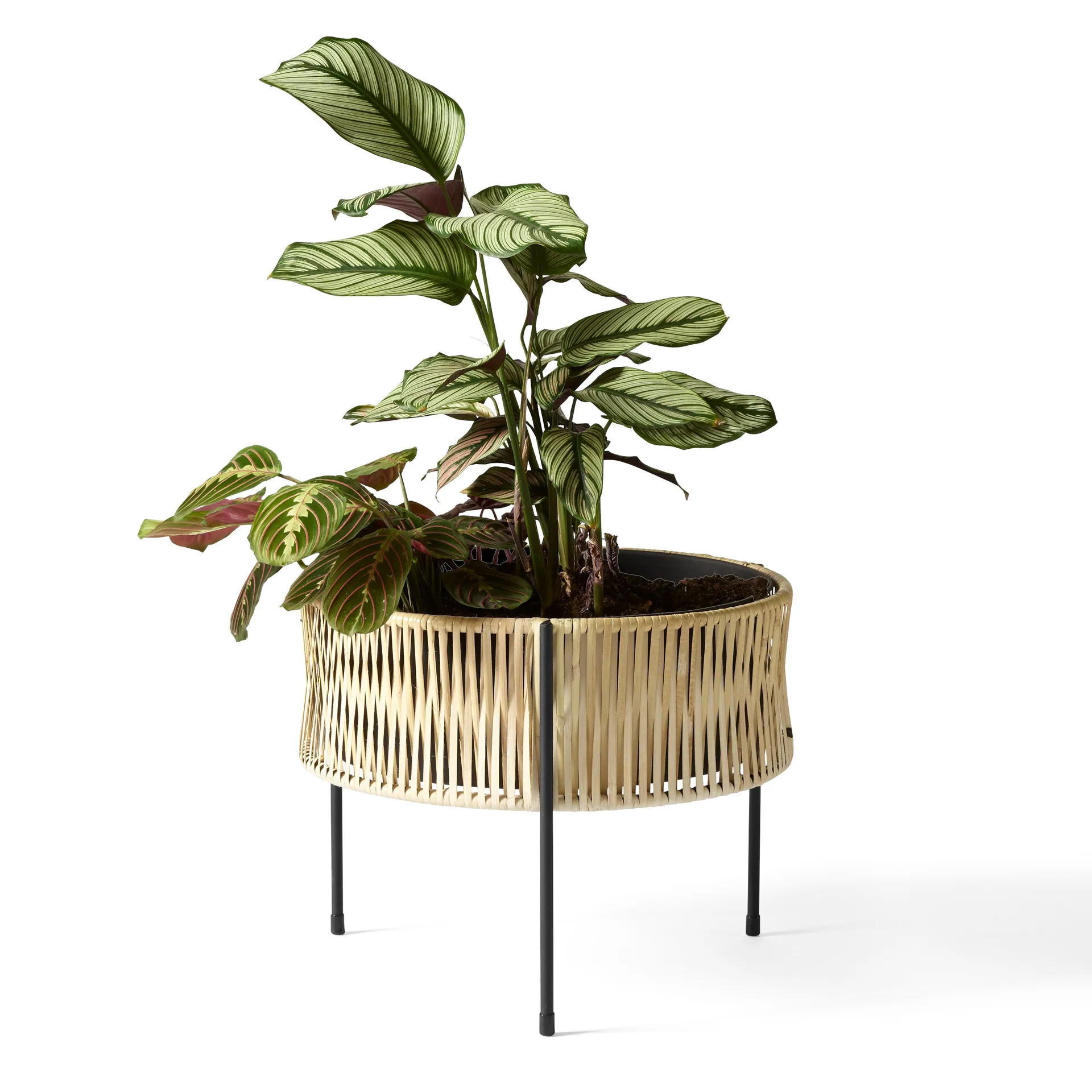 Umanoff planter flower box rattan-steel, h32,5 cm Ø41 cm Audo Copenhagen