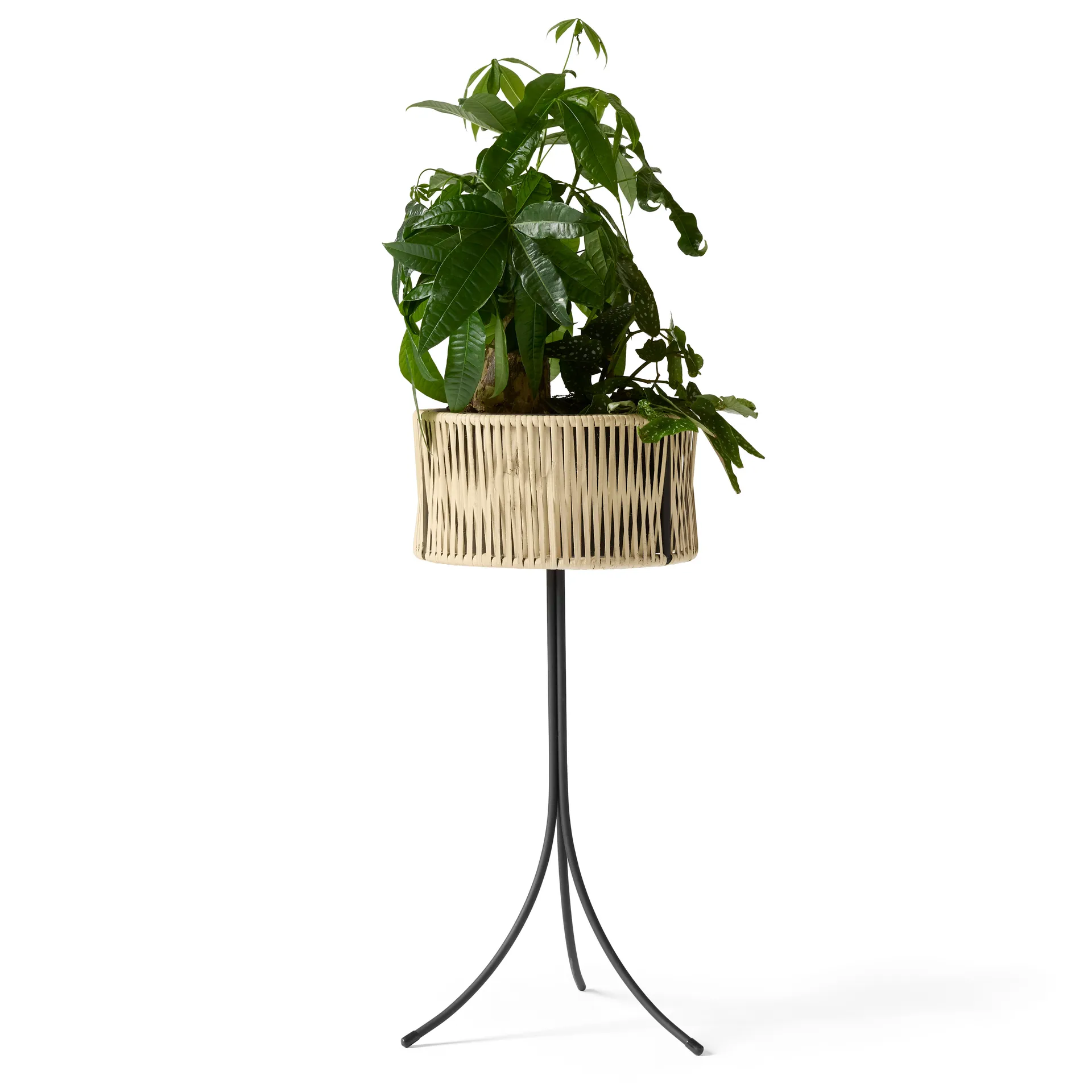 Umanoff planter flower box rattan-steel, h69 cm Ø36,5 cm Audo Copenhagen