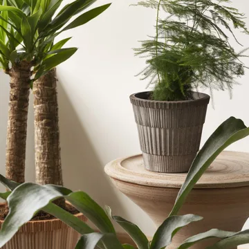 Atlas raw pot with saucer - Grey, Ø18 cm - Bergs Potter