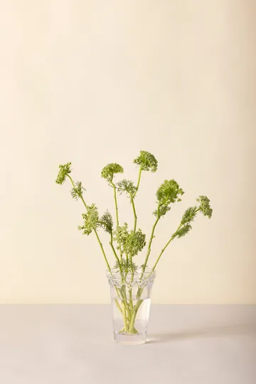 Copenhagen vase - Clear, 18.5 cm - Bergs Potter