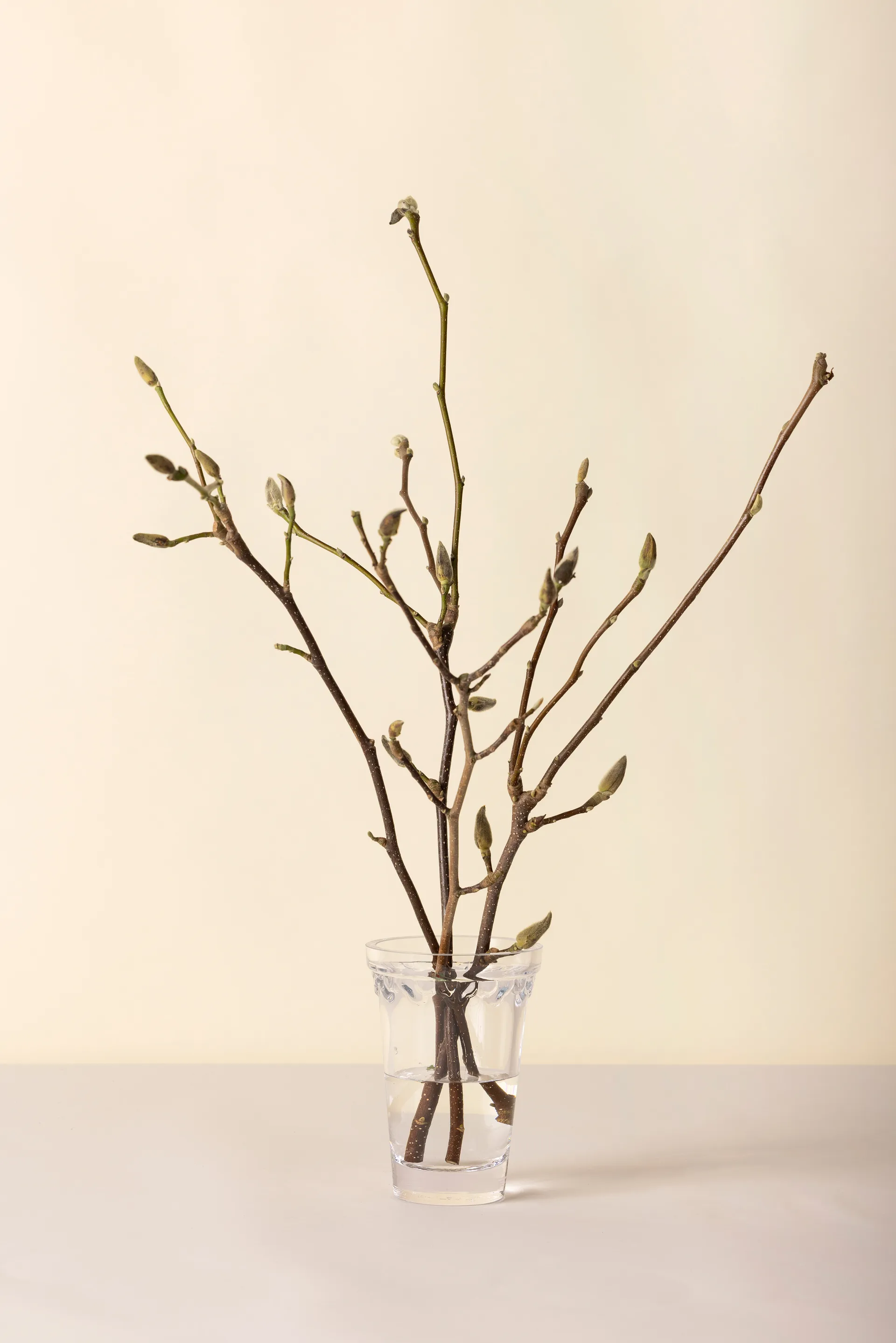 Copenhagen vase, Clear, 18.5 cm Bergs Potter