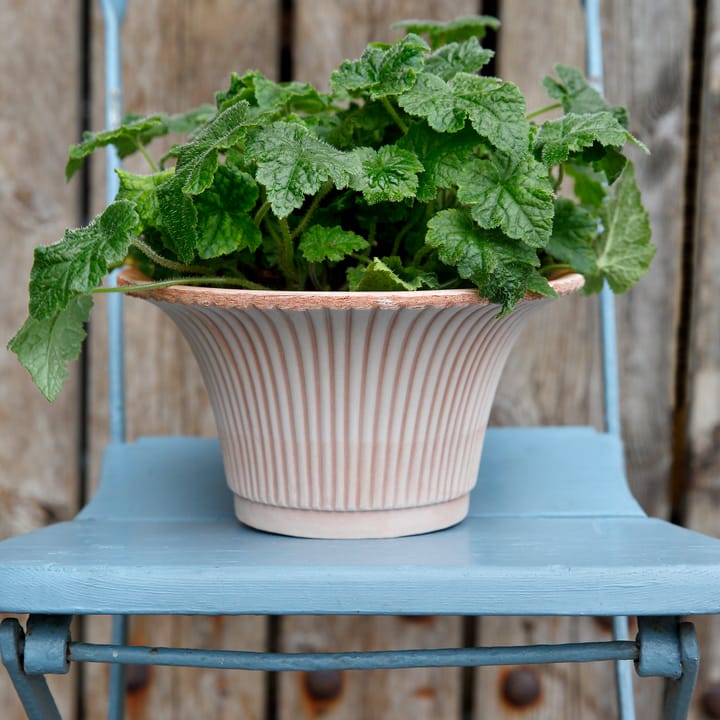 Daisy flower pot Ø25 cm - Pink - Bergs Potter