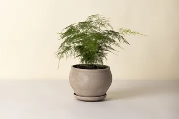 Delphi pot with saucer, 2 pieces - Grey, Ø24 cm, low - Bergs Potter