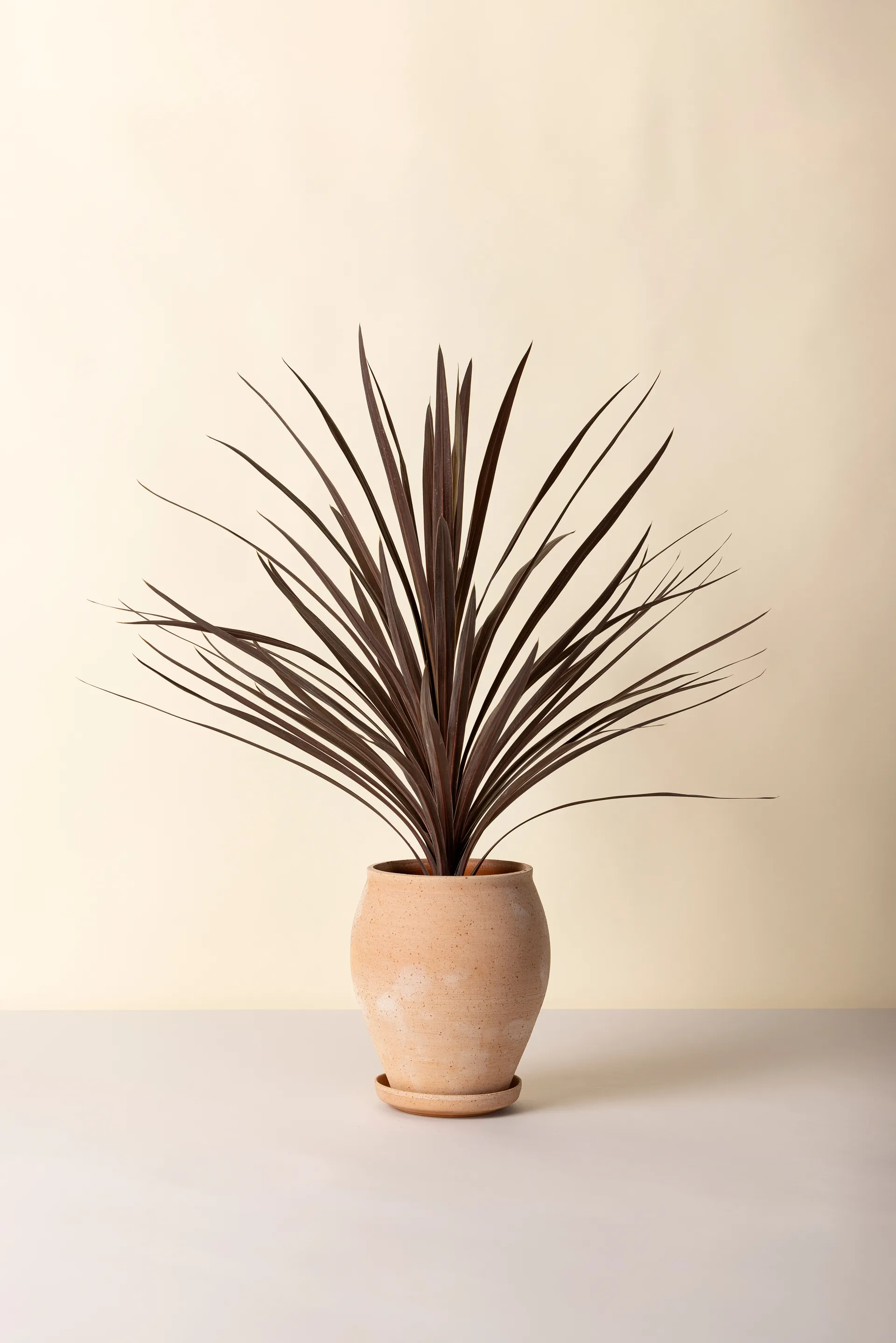 Delphi pot with saucer, 2 pieces, Pink, Ø22 cm, tall Bergs Potter