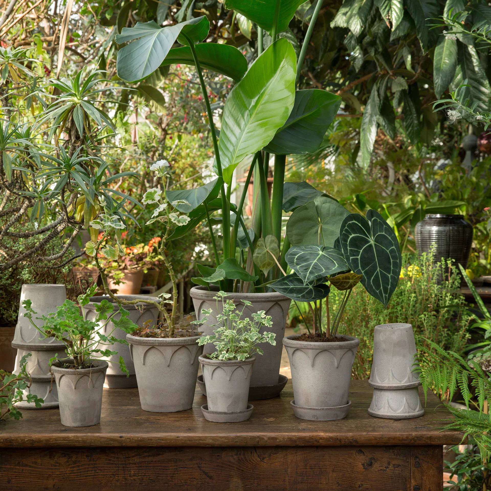 Elizabeth flower pot Ø16 cm, grey Bergs Potter