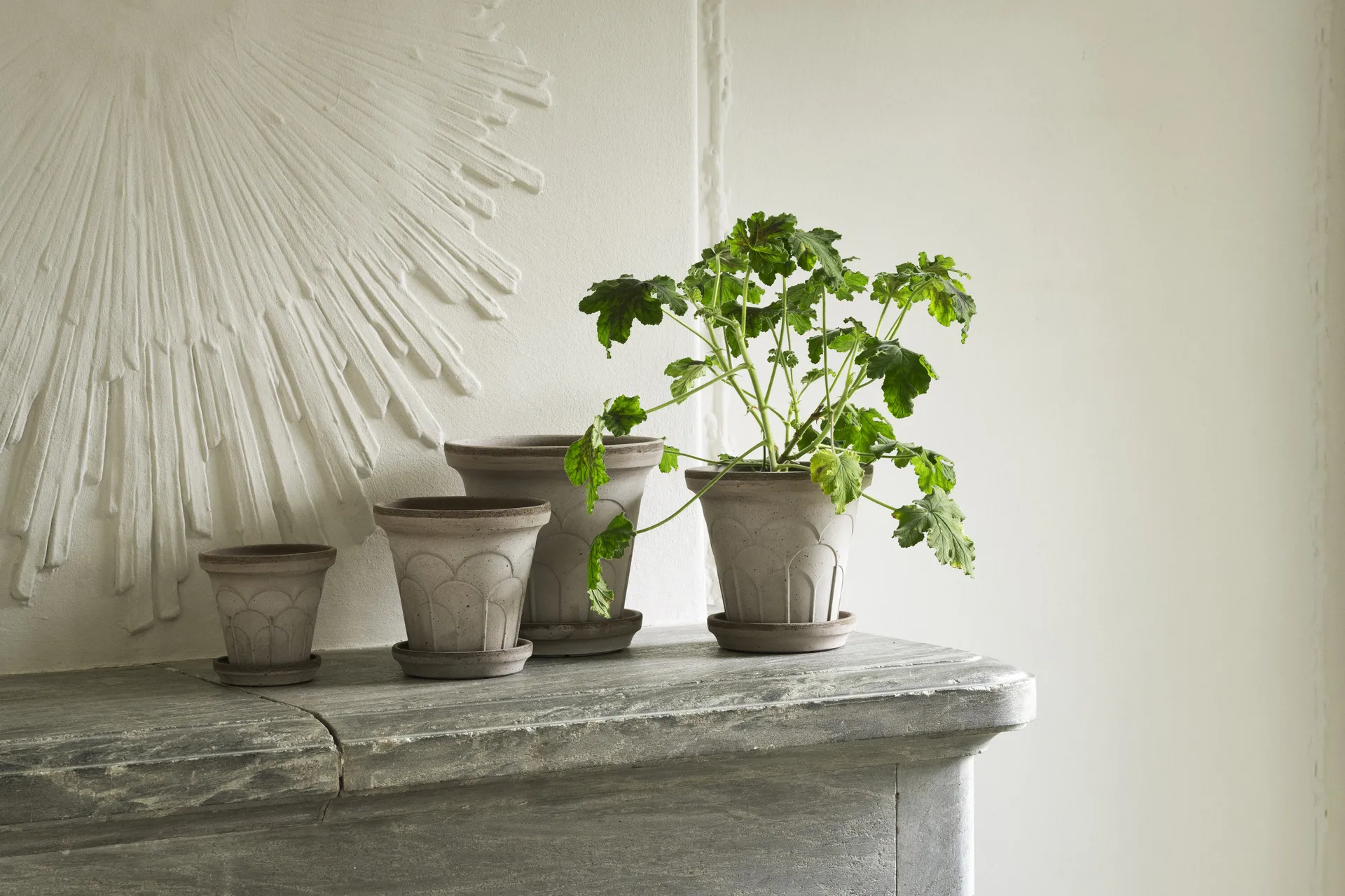 Fleur pot with saucer, 2 pieces, Grey, Ø12 cm Bergs Potter