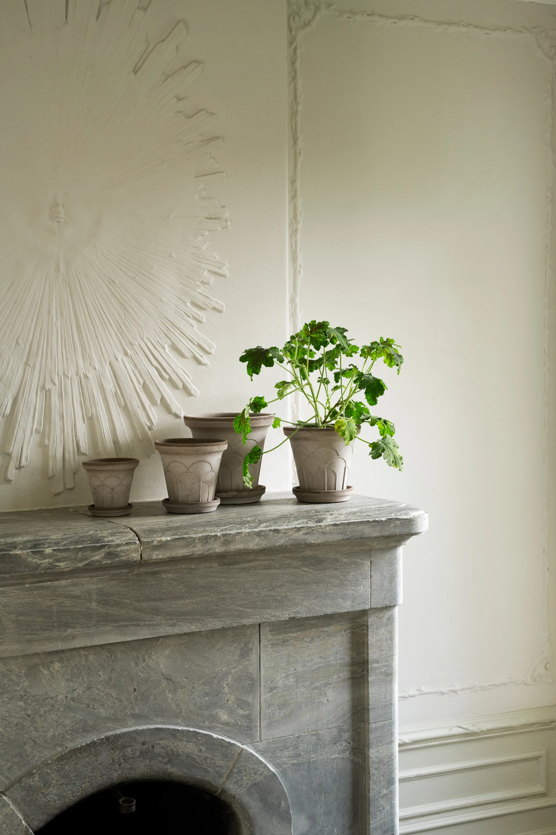 Fleur pot with saucer, 2 pieces, Grey, Ø16 cm Bergs Potter