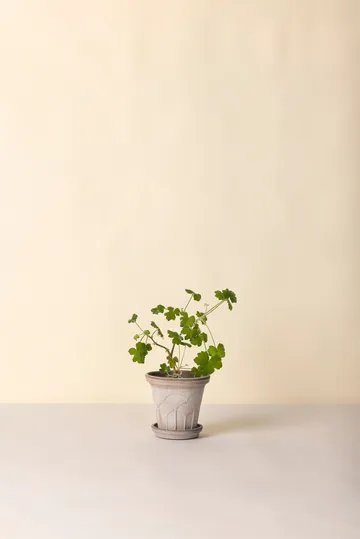 Fleur pot with saucer, 2 pieces - Grey, Ø16 cm - Bergs Potter