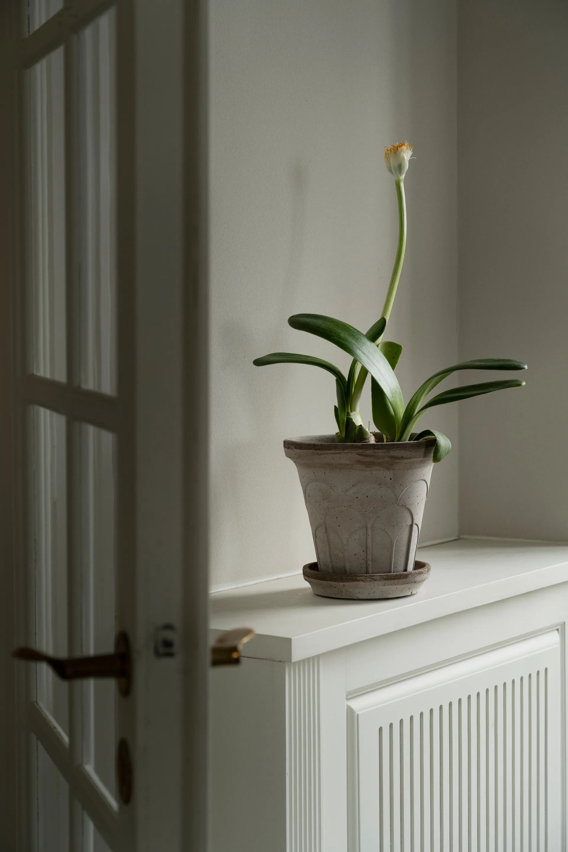 Fleur pot with saucer, 2 pieces, Grey, Ø18 cm Bergs Potter