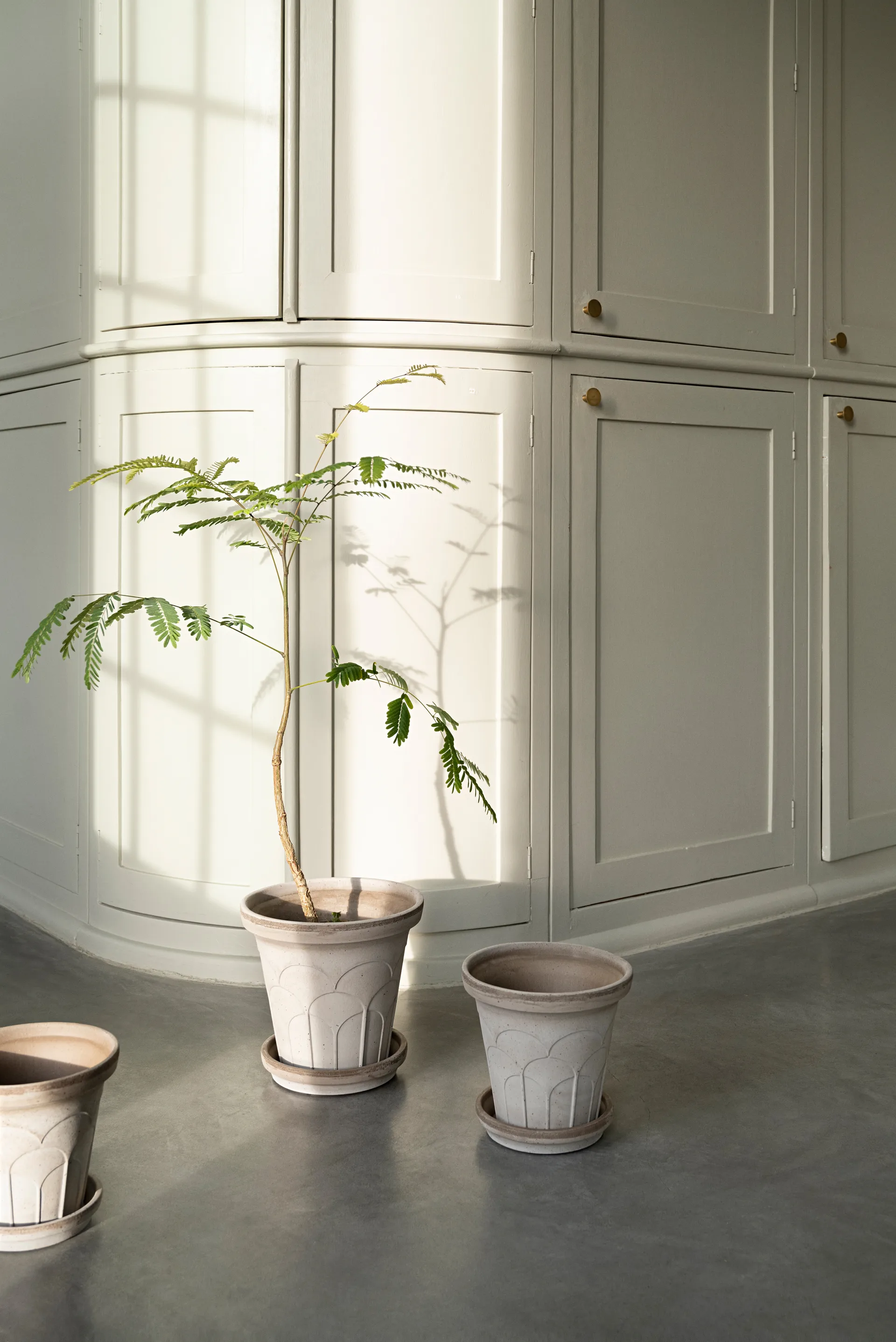 Fleur pot with saucer, 2 pieces, Grey, Ø18 cm Bergs Potter