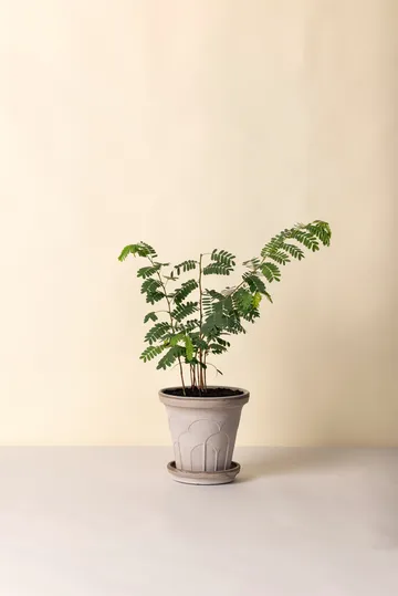 Fleur pot with saucer, 2 pieces - Grey, Ø21 cm - Bergs Potter