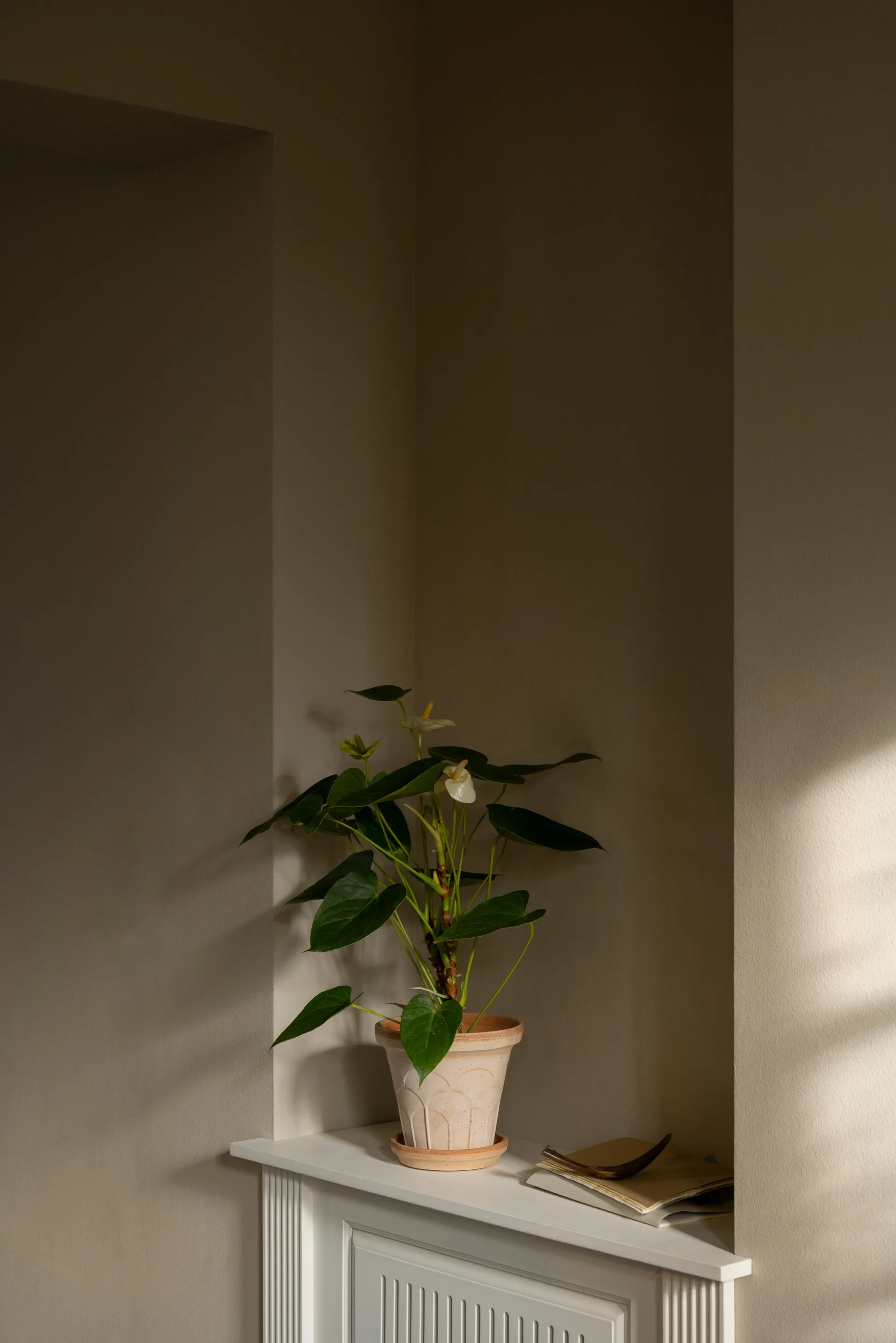 Fleur pot with saucer, 2 pieces, Pink, Ø16 cm Bergs Potter