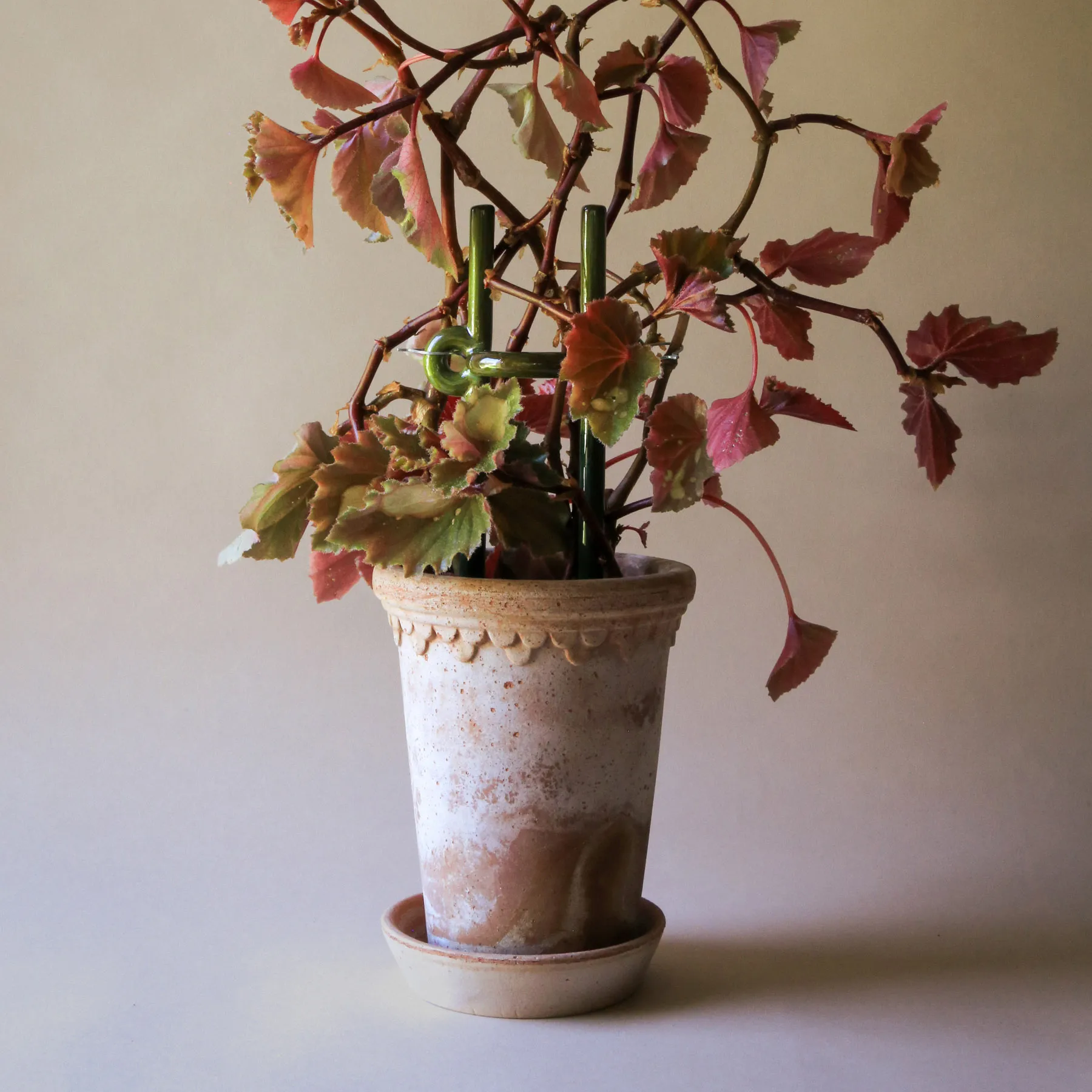 Folk Hinto plant support, Moss green Bergs Potter