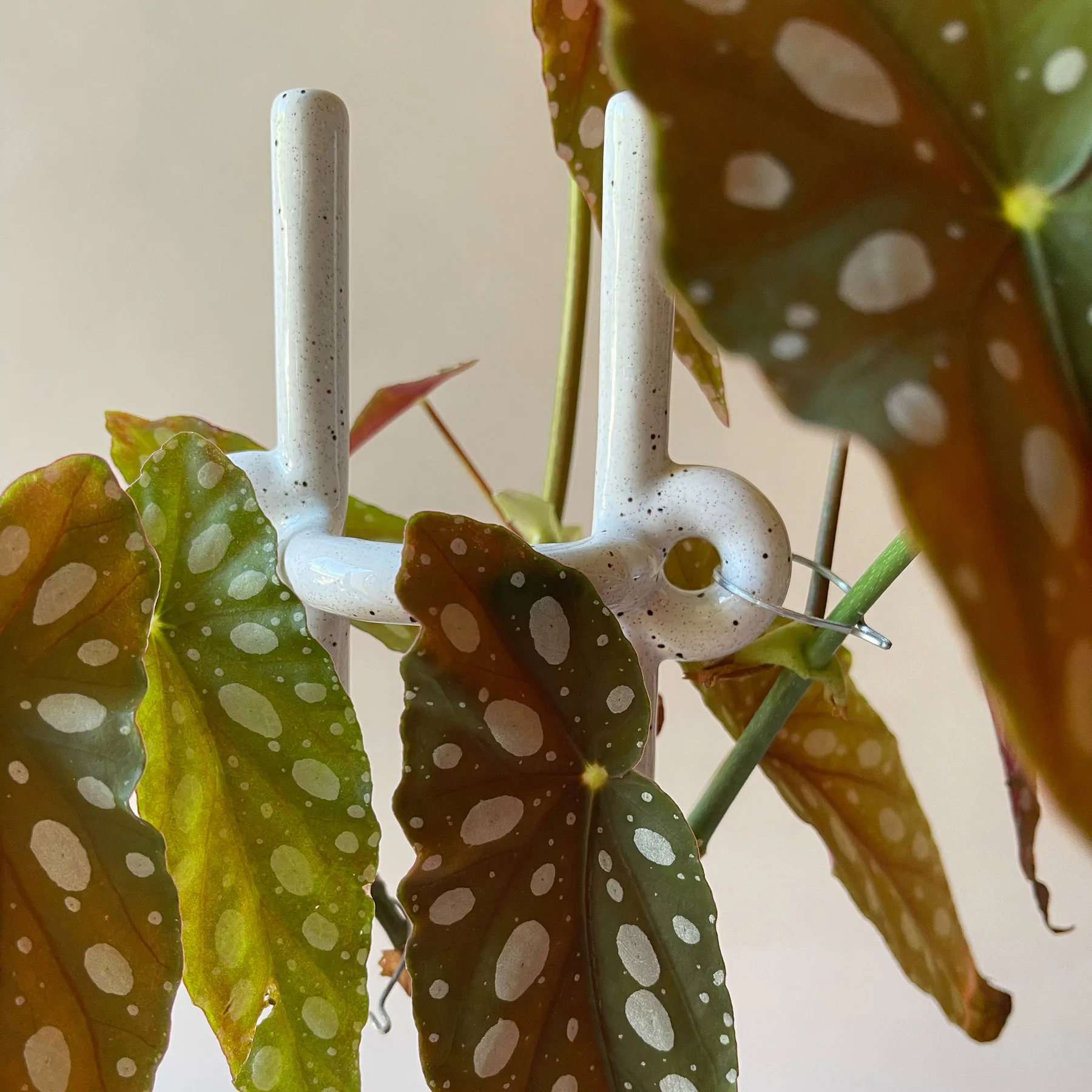 Folk Hinto plant support, Pebble White Bergs Potter