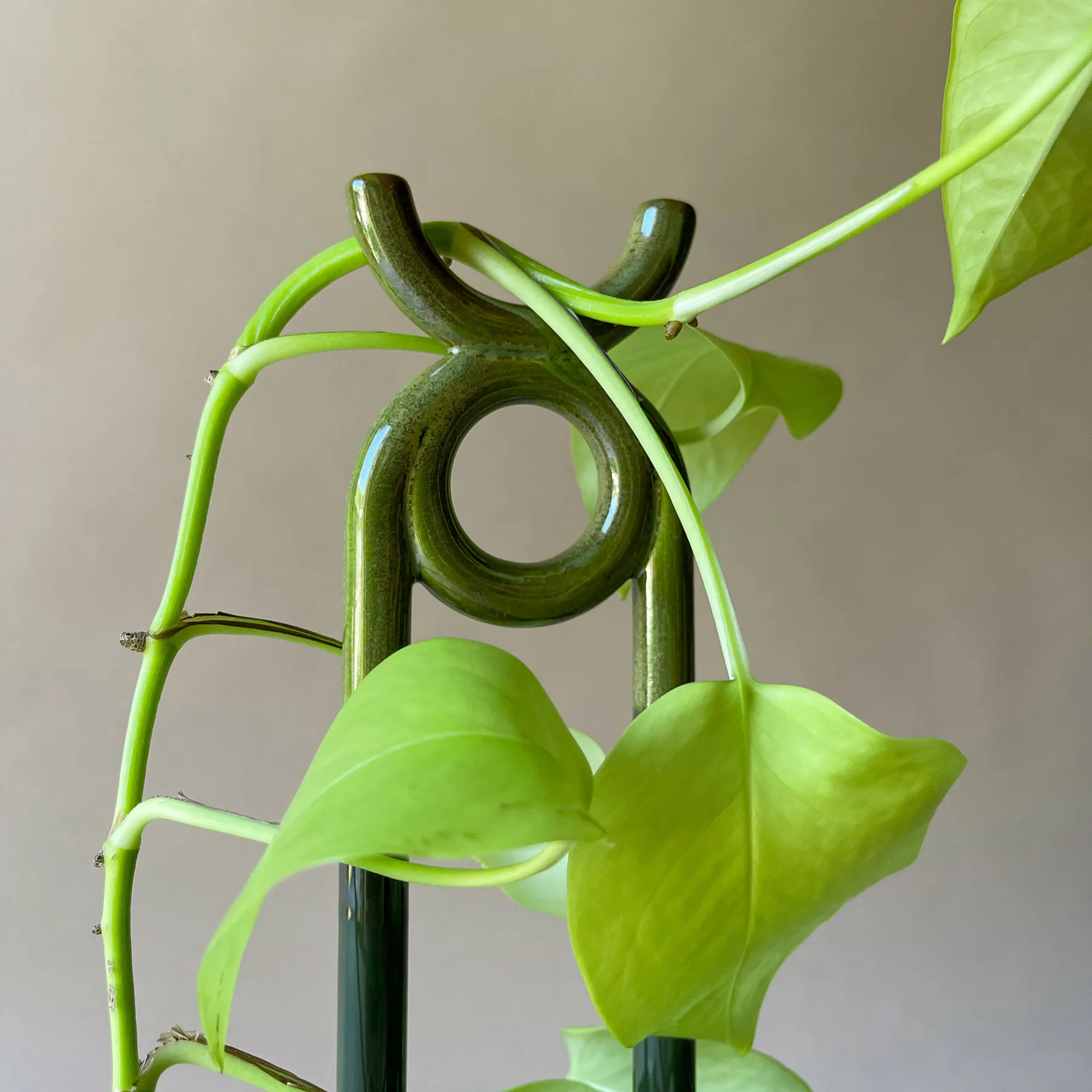 Folk Oni plant support, Moss green Bergs Potter