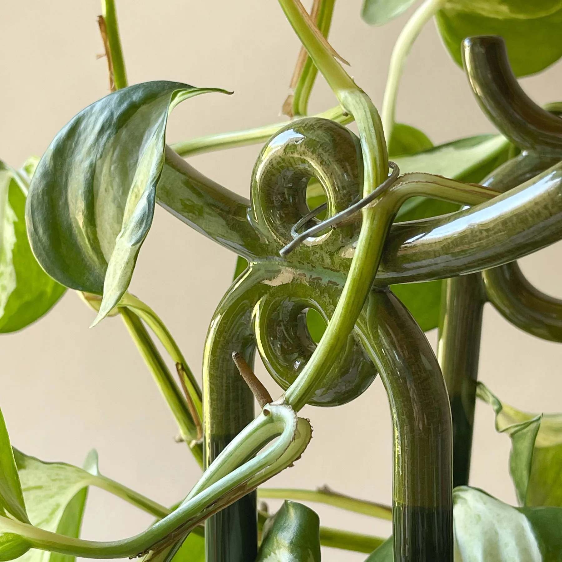 Folk Yuma plant support, Moss green Bergs Potter