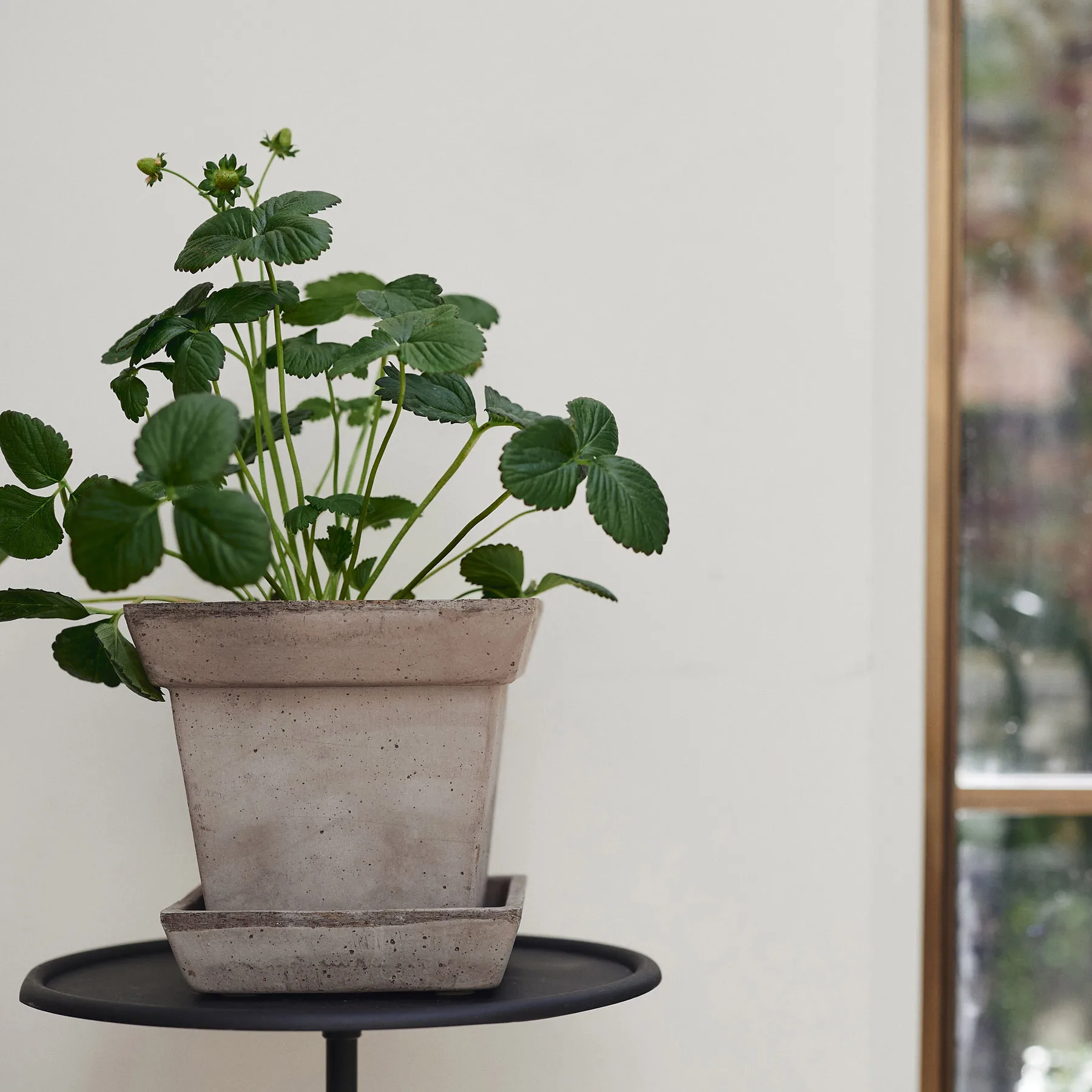 Gaia raw pot, Grey, Ø21 cm Bergs Potter