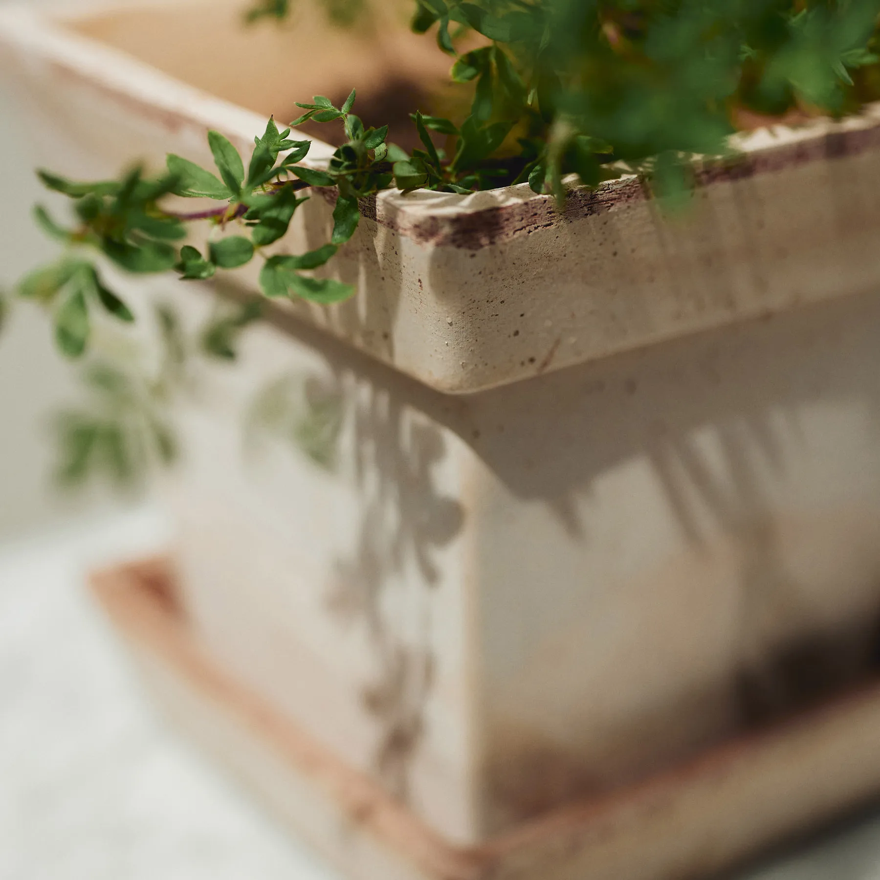 Gaia raw pot, Pink, Ø21 cm Bergs Potter