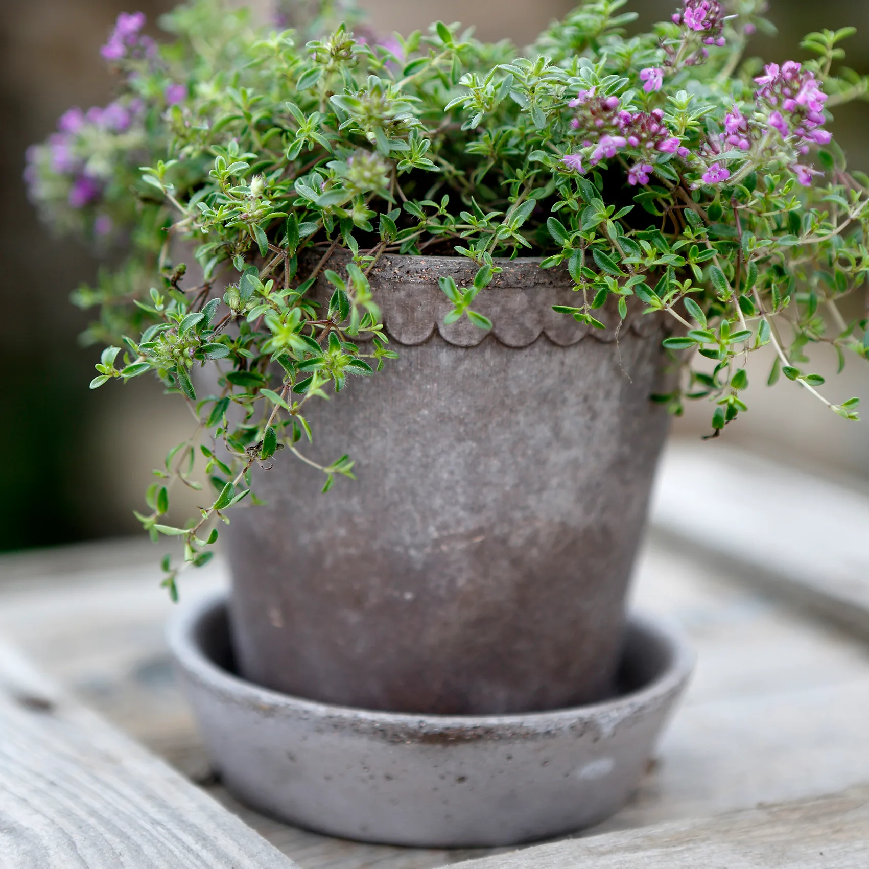 Helena flower pot Ø10 cm, grey Bergs Potter
