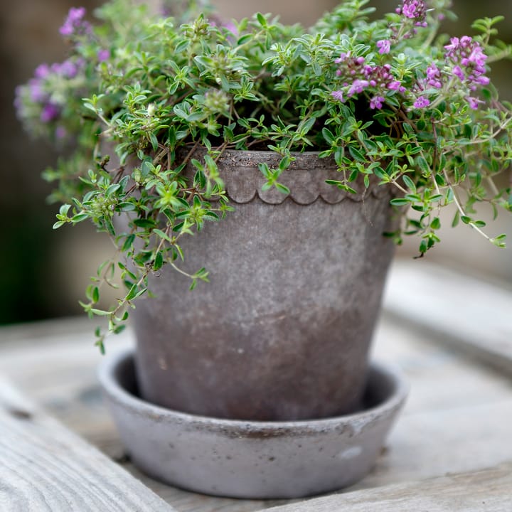 Helena flower pot Ø10 cm - grey - Bergs Potter