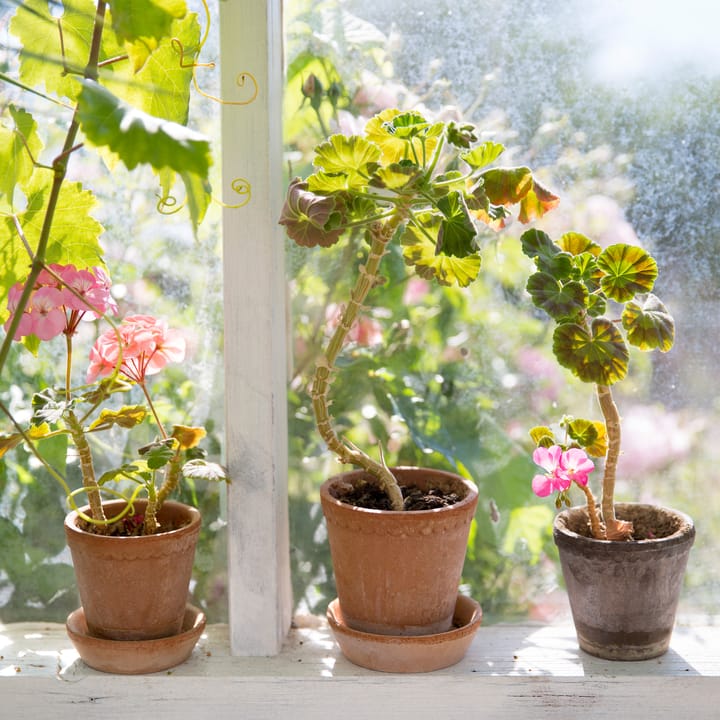 Helena flower pot Ø12 cm - pink - Bergs Potter