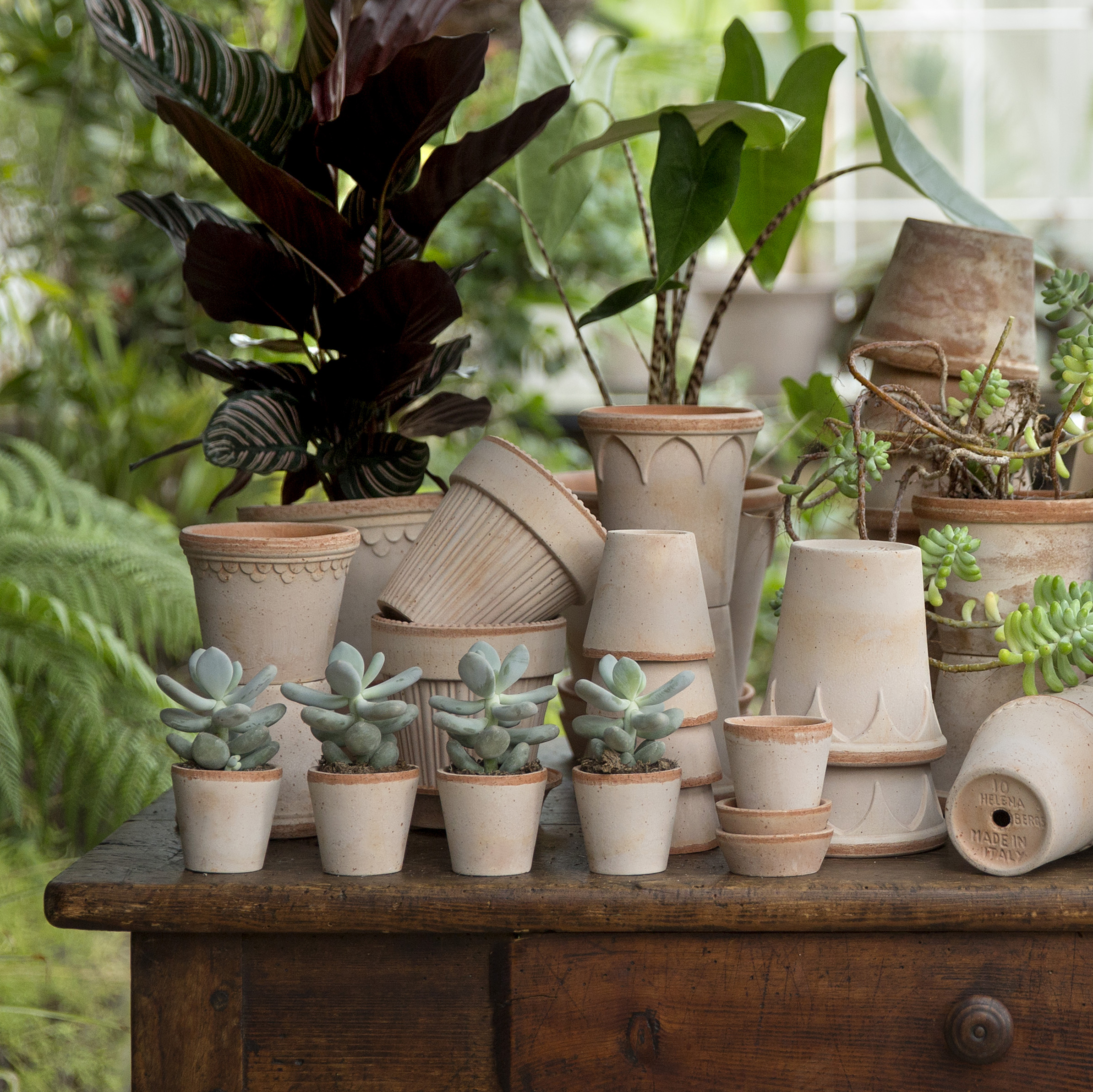 Københavner flower pot Ø10 cm from Bergs Potter - NordicNest.com